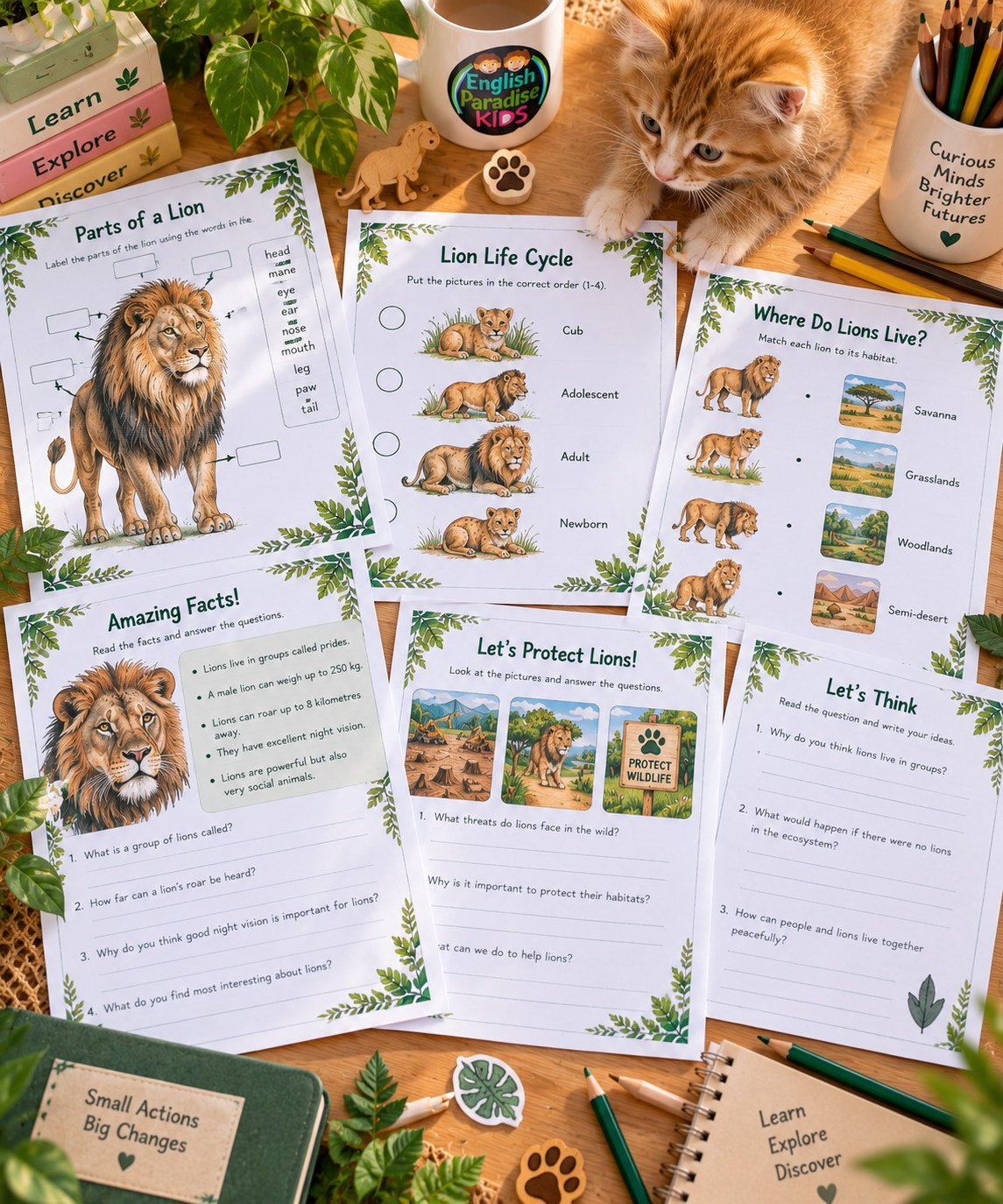 Lion science worksheets for kids from English Paradise Kids