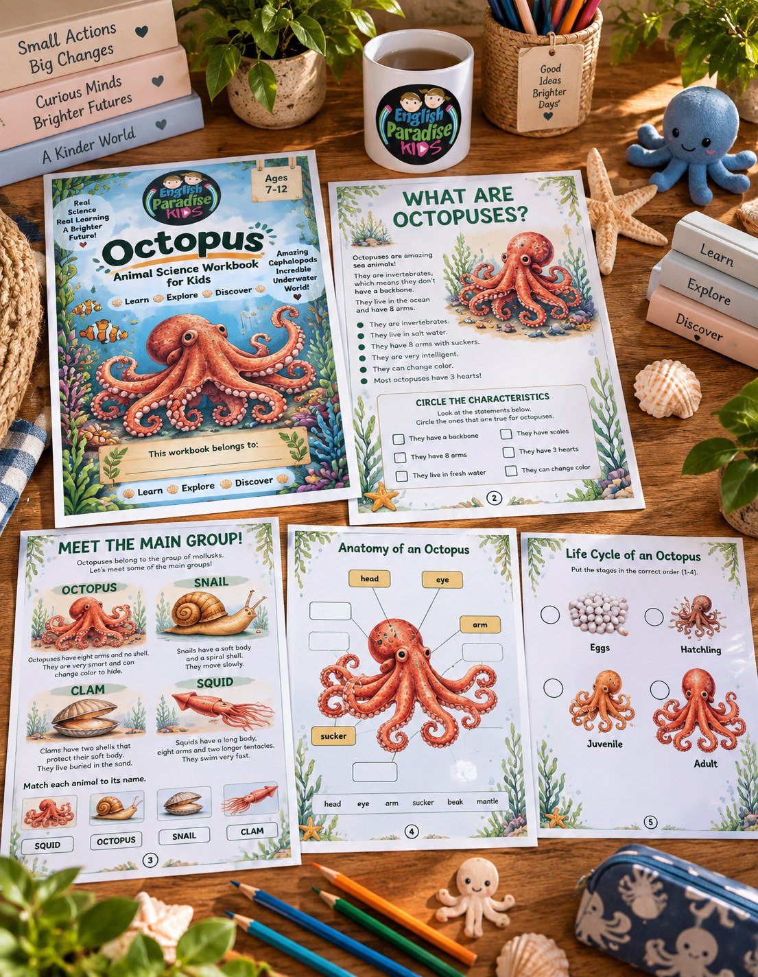 Octopus science worksheets for kids from English Paradise Kids
